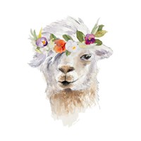 Floral Llama IV Fine Art Print