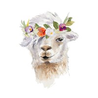 Floral Llama IV Framed Print