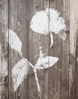 Brown Floral Whisper on Wood I Framed Print