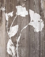 Brown Floral Whisper on Wood II Framed Print
