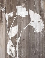 Brown Floral Whisper on Wood II Fine Art Print