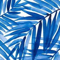 Blue Palm Design II Fine Art Print
