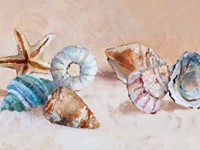 Shells on the Shore Rectangle Fine Art Print