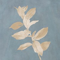 Tan Leaf on Blue Square I Fine Art Print
