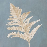 Tan Leaf on Blue Square II Fine Art Print