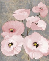Kindle's Blush Poppies II Fine Art Print