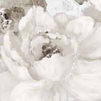 Light Grey Flowers I Framed Print