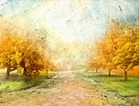 Oak Path Fine Art Print