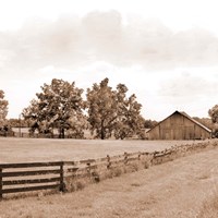 Simple Farm Life Fine Art Print