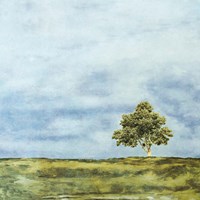 Summer Oak Fine Art Print