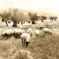 Out In The Fields Fine Art Print