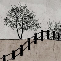 Over the Fence Fine Art Print