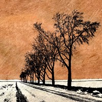 Minimalist Dream Fine Art Print