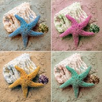 Colorful Starfish Fine Art Print