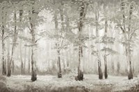 Misty Woodland Glow Fine Art Print