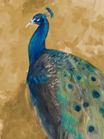 Royal Plume on Gold Fine Art Print