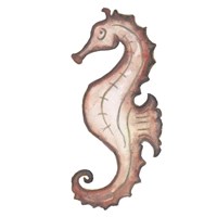 Coastal Icon Coral I Fine Art Print