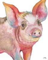 Pig I Fine Art Print