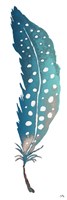 Dotted Blue Feather II Fine Art Print