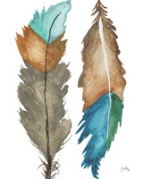 Decorative Feathers Fine Art Print