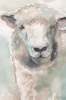 Muted Lamb Fine Art Print