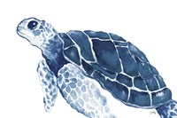 Turtle in the Blues Fine Art Print