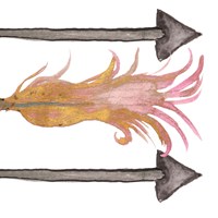 Feathers And Arrows I Fine Art Print