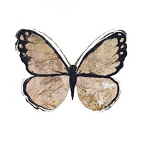 Flutter Gold II Fine Art Print