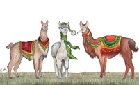 Christmas Llamas Fine Art Print
