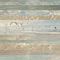 Flying Beach Birds I Fine Art Print