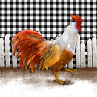 Morning Rooster I Fine Art Print
