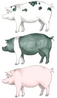Piggy Wiggy Set Fine Art Print