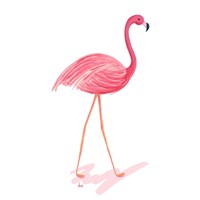 Flamingo Walk III Fine Art Print