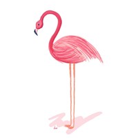 Flamingo Walk IV Fine Art Print