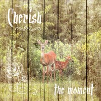 Cherish The Moment Fine Art Print