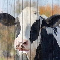 Sweet Daisy I Fine Art Print