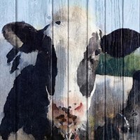 Sweet Daisy II Fine Art Print