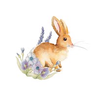 Spring Bunny II Fine Art Print