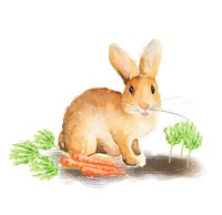 Spring Bunny III Fine Art Print