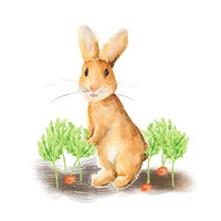 Spring Bunny IV Framed Print