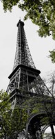 Parisian Trip I Fine Art Print