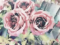 Vintage Roses Fine Art Print