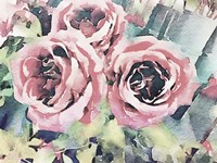 Vintage Roses Fine Art Print