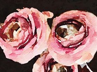 Dark Roses Fine Art Print