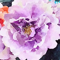Purple Flower Fine Art Print