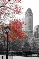 Central Park with Red Tree Fine Art Print