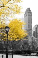 Central Park with Yellow Tree Fine Art Print