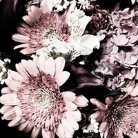 Moody Bouquet Fine Art Print