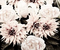 White Washed Garden Fine Art Print