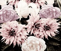 Pink Washed Garden Fine Art Print